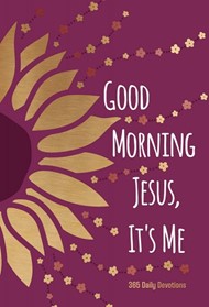 Good Morning Jesus, It'S Me: 365 Daily Devotions