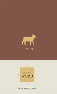 In the Word Bible Journal - John
