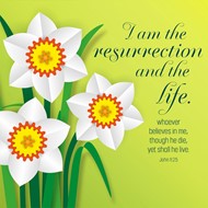 I Am The Resurrection Easter Cards (Pack of 5)