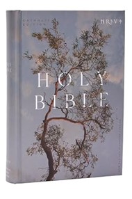 NRSV Catholic Edition Bible, Eucalyptus Hardcover