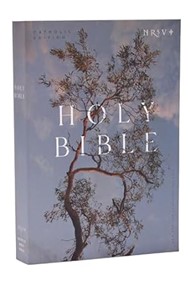 NRSV Catholic Edition Bible, Eucalyptus Paperback
