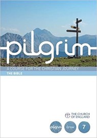 Pilgrim Book 7: The Bible (Pack of 25)