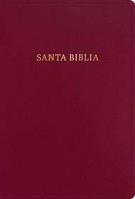 RVR 1960 Biblia Letra Súper Gigante, Borgoña, Imitación Piel