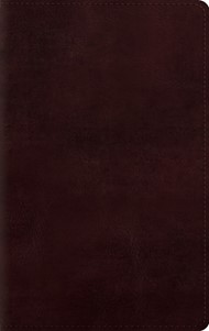 ESV Large Print Personal Size Bible, Trutone, Mahogany