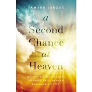 Second Chance At Heaven, A