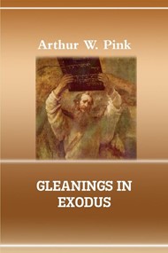 Gleanings In Exodus