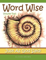 Word Wise Volume 2