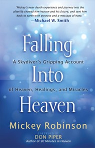 Falling Into Heaven
