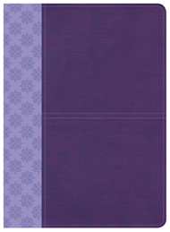 CSB Study Bible, Purple Leathertouch