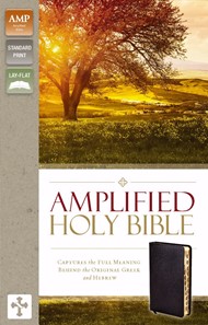 Amplified Holy Bible, Black, Indexed