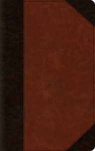 ESV Large Print Thinline Bible Trutone, Brown/Cordovan