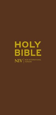NIV Diary Brown Flexibind Bible