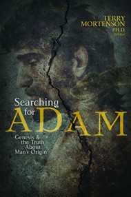 Searching For Adam