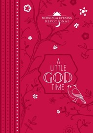 Little God Time, A