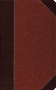 ESV Thinline Bible, Brown/Cordovan, Portfolio Design