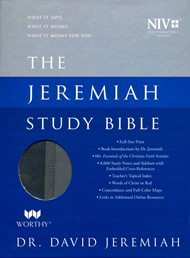 NIV Jeremiah Study Bible, Gray, Indexed