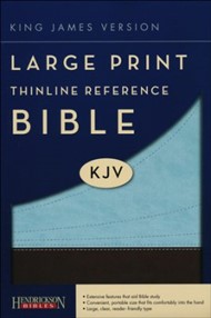 KJV Large Print Thinline Reference Bible, Chocolate/Blue