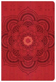 CSB Essential Teen Study Bible, Red Flower Cork Leathertouch