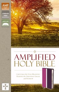 Amplified Holy Bible, Dark Orchid/Deep Plum