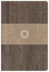 CSB Essential Teen Study Bible, Weathered Gray Cork