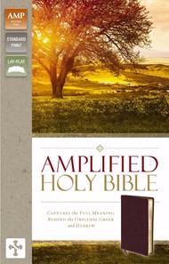 Amplified Holy Bible, Burgundy