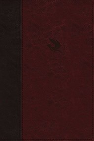 NKJV Spirit-Filled Life Bible, Burgundy, Indexed, Red Letter