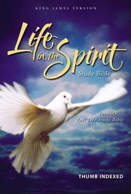 KJV Life In The Spirit Study Bible Indexed, Black