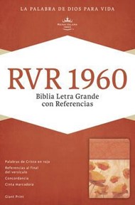 RVR 1960 Biblia Letra Grande con Referencias, damasco/coral