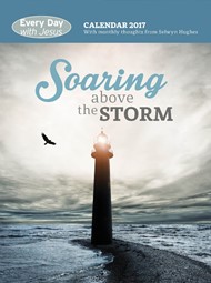 Soaring Above the Storm 2017 Calendar