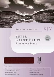KJV Super Giant Print Reference Bible, Burgundy