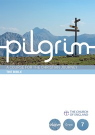 The Pilgrim Bk7: Bible