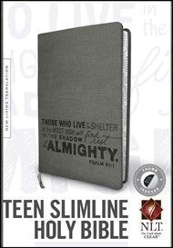NLT Teen Slimline Bible: Psalm 91