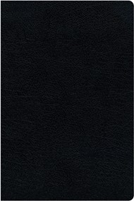 KJV Amplified Parallel Bible, Black, Large Print, Red Letter