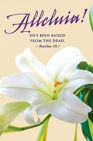 He's Been Raised Lilies Easter Bulletin (Pkg of 50)