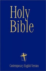 CEV Easy Reading Bible Blue