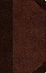 ESV Ultrathin Bible, Trutone, Brown/Walnut, Portfolio Design