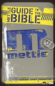 Mettle Guide to the Bible