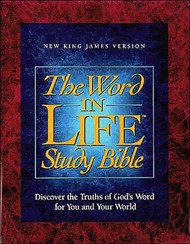 NRSV Word In Life Study Bible