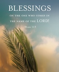 Blessings Palm Sunday Bulletin, Large (Pkg of 50)