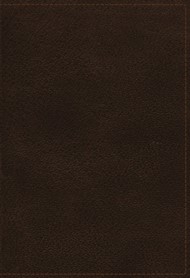 NKJV Study Bible, Brown, Full-Color, Red Letter Ed., Indexed