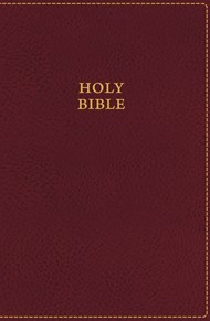 KJV Ultraslim Bible