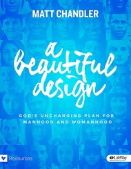 Beautiful Design DVD Set, A