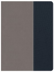CSB Apologetics Study Bible For Students, Gray/Navy
