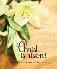 Christ Is Risen! Easter Lilies Bulletin, Large (Pkg of 50)