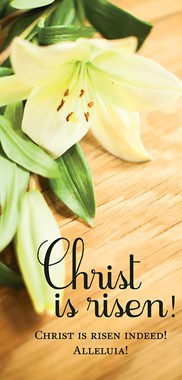 Christ Is Risen! Easter Lilies Offering Envelope (Pkg of 50)