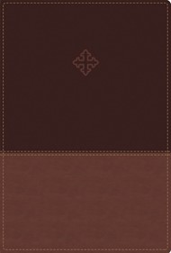 Amplified Study Bible, The, Imitation Leather, Brown