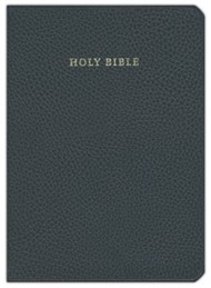 NIV Clarion Reference Bible, Calf Split Leather, NI484:X