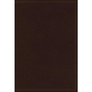 NKJV The Vines Expository Bible, Brown