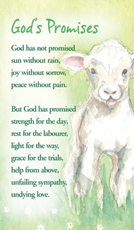 Gods Promises Prayer Card (pack of 20)