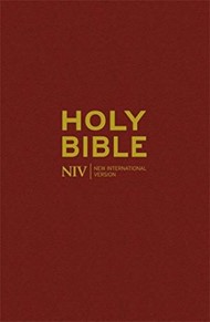 NIV Popular Burgundy Hardback Bible (20 Copy Pack)